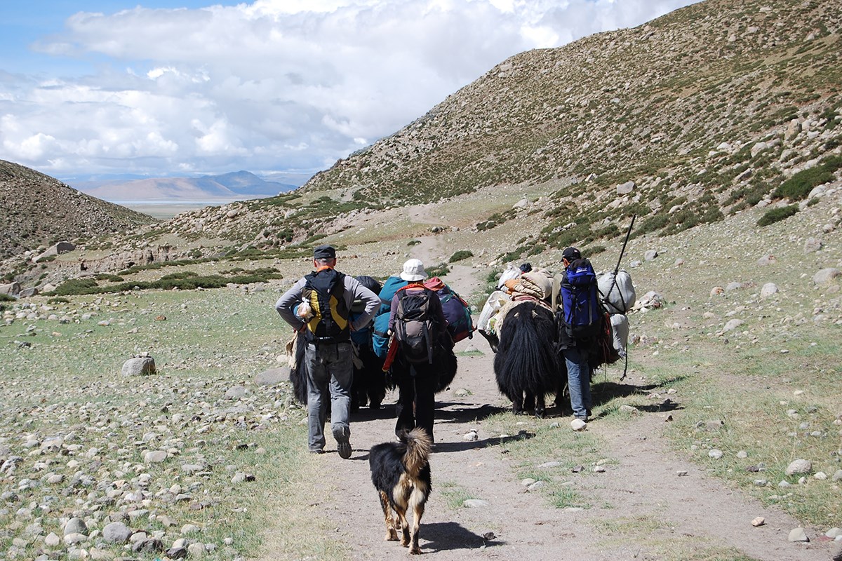 Kailash Trekking