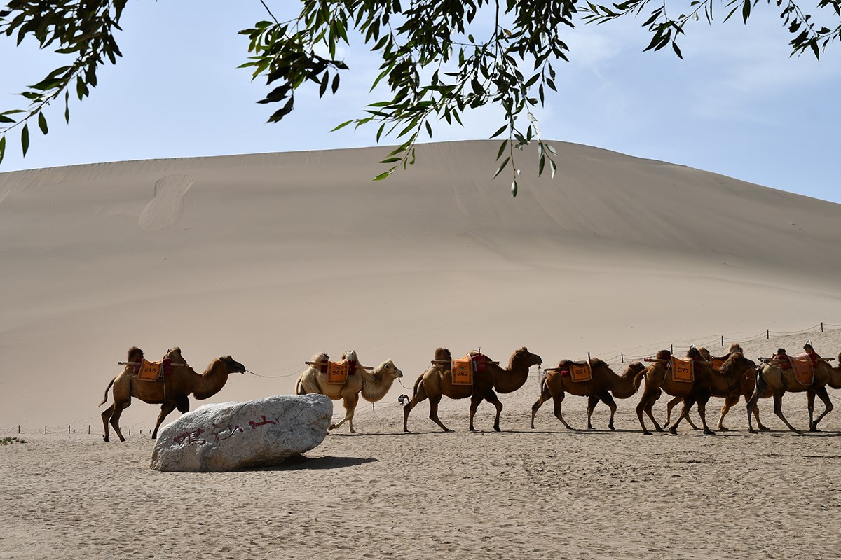 Singing Sand Dunes in Dunhuang | Foto da Liu Bin
